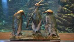 Mich@ on Tour: Ein Besuch im Düsseldorfer Aquazoo Löbbecke Museum