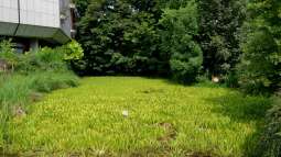 Mich@ on Tour: Ein Besuch im Düsseldorfer Aquazoo Löbbecke Museum