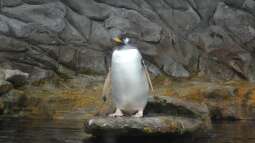 Mich@ on Tour: Ein Besuch im Düsseldorfer Aquazoo Löbbecke Museum