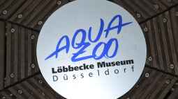Mich@ on Tour: Ein Besuch im Düsseldorfer Aquazoo Löbbecke Museum