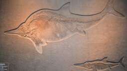 Mich@ on Tour: Ein Besuch im Düsseldorfer Aquazoo Löbbecke Museum