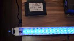 Mich@`s Stiftung Aqua-Test: Test der LUM-Light Aqua LED Styl RGB