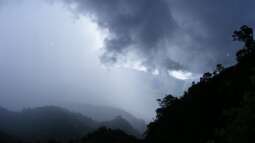 Live aus den Biotopen--- Jamaika