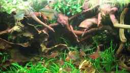 DIY Alternativen zur Rückwand!