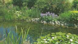 Aquarium meets Teich - Geht nicht, gibts nicht!