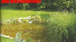 Aquarium meets Teich - Geht nicht, gibts nicht!