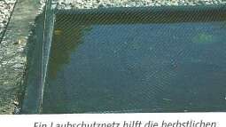 Aquarium meets Teich - Geht nicht, gibts nicht!