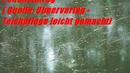 Aquarium meets Teich - Geht nicht, gibts nicht!