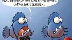 Galerieseite - ...einfach mal zum gucken