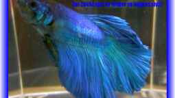 Galerieseite - ...einfach mal zum gucken