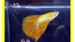 Galerieseite - ...einfach mal zum gucken