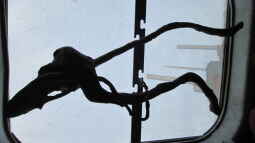 DIY Alternativen zur Rückwand!