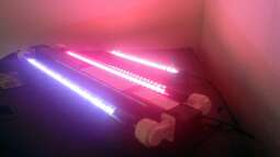 Meine Erfahrungen mit den Sera X-Change Tubes - Pro und Contra