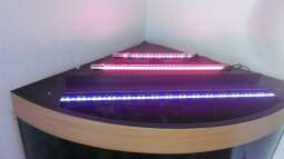 Meine Erfahrungen mit den Sera X-Change Tubes - Pro und Contra