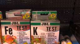 Wassertest für Aquarium und Teich