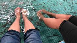 Besuch im Manila Ocean Park auf den Philippinen