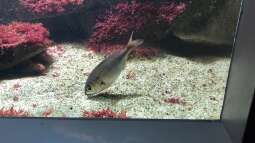 WILHELMA 3 - Zoologisch-Botanischer Garten in Stuttgart