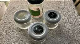 Das Aquarium im Urlaub