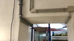 Bau eines Aquarien-Kellers, Teil SECHS, Frühling 2019