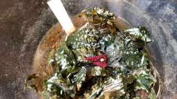 Mein Besuch auf der Aqua-Fisch in Friedrichshafen