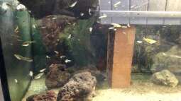 Dreck, Dreck und nochmals Dreck! Teil eins