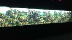 Urlaub auf Teneriffa Teil 2 ??? Das neuen ZEN Aquarium seit 2018 im Loro Parque!