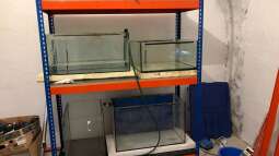 Bau eines Aquarien-Kellers, Teil ZWEI, Sommer 2018