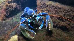 WILHELMA 3 - Zoologisch-Botanischer Garten in Stuttgart