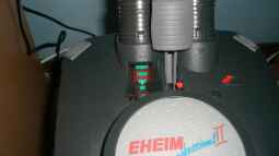 Fragen zu Diskusfischen 2