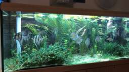 Besuch im Haus des Meeres in Wien