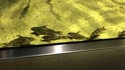 Besuch im Haus des Meeres in Wien