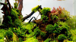 Besuch bei Garnelaxia und Matthias Jesenko