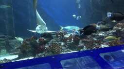 Ausflug zum Sea Life nach München Teil 2/2