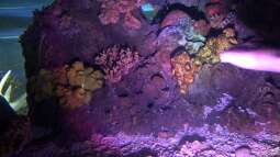 Ausflug zum Sea Life nach München Teil 1/2