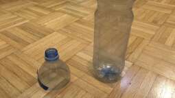 Wie fängt man flotte Fische im Aquarium?