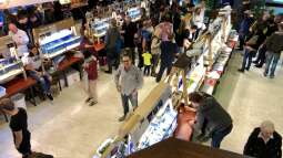 Jahresrückblick 2019 eines Vereins - Aquarienfreunde Tirol