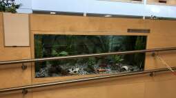 Bau eines Aquarien-Kellers, Teil ELF, Winter 2019/2020 Teil eins