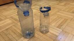 Wie fängt man flotte Fische im Aquarium?