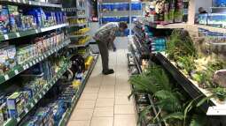 Bau eines Aquarien-Kellers, Teil ZEHN, Herbst 2019