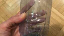 Wie fängt man flotte Fische im Aquarium?