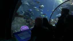 Ausflug zum Sea Life nach München Teil 2/2