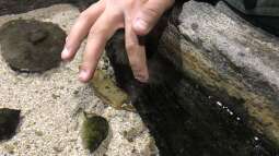 Ausflug zum Sea Life nach München Teil 2/2