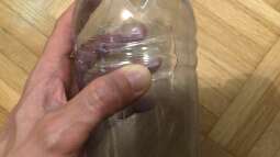 Wie fängt man flotte Fische im Aquarium?