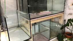 Was ist eigentlich ein gro??es Aquarium?