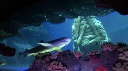 Ausflug zum Sea Life nach München Teil 1/2