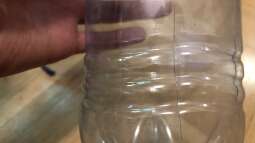 Wie fängt man flotte Fische im Aquarium?