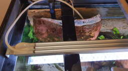 Energiekosten explodieren - Strom sparen auch als Aquarianer?