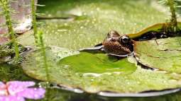 Diese eine Liebe wird nie zu Ende gehen! Part 1