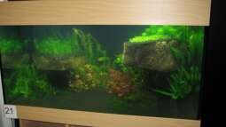Internationaler Wettbewerb "Planted Aquarium"