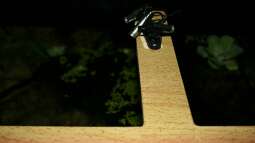 Mittelsteg entfernen